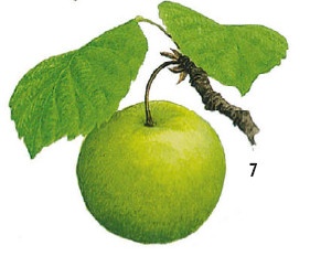 Иллюстрация к книге — Выживание везде и всегда [i_080.jpg]