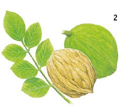 Иллюстрация к книге — Выживание везде и всегда [i_091.jpg]