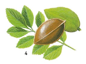 Иллюстрация к книге — Выживание везде и всегда [i_093.jpg]