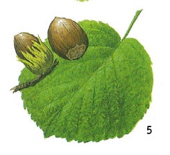 Иллюстрация к книге — Выживание везде и всегда [i_094.jpg]