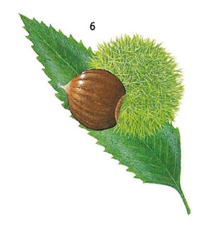 Иллюстрация к книге — Выживание везде и всегда [i_095.jpg]