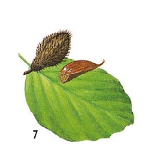 Иллюстрация к книге — Выживание везде и всегда [i_096.jpg]