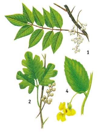 Иллюстрация к книге — Выживание везде и всегда [i_100.jpg]