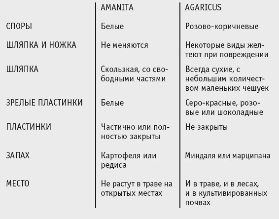 Иллюстрация к книге — Выживание везде и всегда [i_104.jpg]