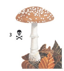 Иллюстрация к книге — Выживание везде и всегда [i_125.jpg]