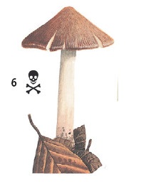 Иллюстрация к книге — Выживание везде и всегда [i_128.jpg]