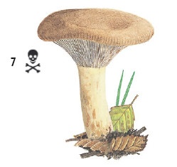 Иллюстрация к книге — Выживание везде и всегда [i_129.jpg]