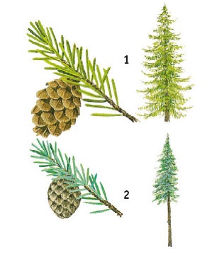 Иллюстрация к книге — Выживание везде и всегда [i_131.jpg]