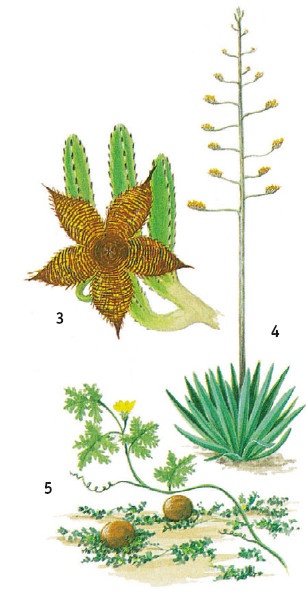 Иллюстрация к книге — Выживание везде и всегда [i_136.jpg]