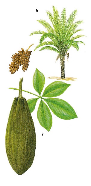 Иллюстрация к книге — Выживание везде и всегда [i_137.jpg]