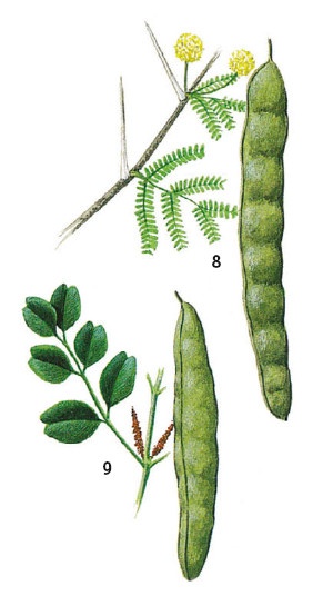 Иллюстрация к книге — Выживание везде и всегда [i_138.jpg]