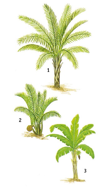 Иллюстрация к книге — Выживание везде и всегда [i_139.jpg]