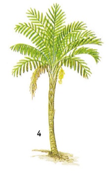 Иллюстрация к книге — Выживание везде и всегда [i_140.jpg]