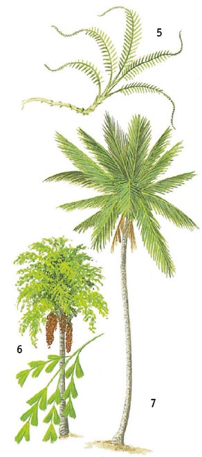 Иллюстрация к книге — Выживание везде и всегда [i_141.jpg]