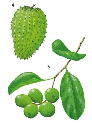 Иллюстрация к книге — Выживание везде и всегда [i_144.jpg]