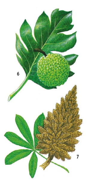 Иллюстрация к книге — Выживание везде и всегда [i_145.jpg]