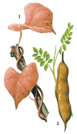 Иллюстрация к книге — Выживание везде и всегда [i_147.jpg]