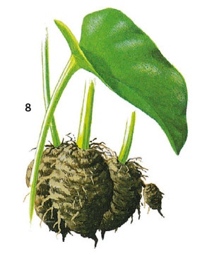 Иллюстрация к книге — Выживание везде и всегда [i_150.jpg]