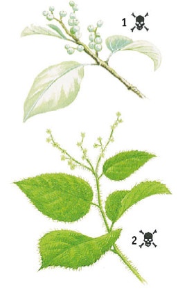 Иллюстрация к книге — Выживание везде и всегда [i_155.jpg]