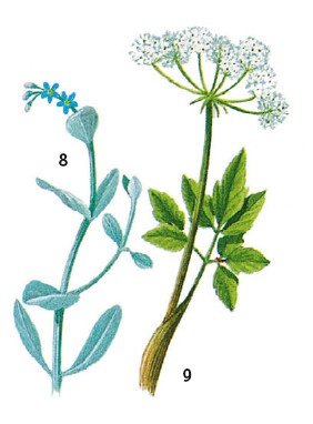 Иллюстрация к книге — Выживание везде и всегда [i_162.jpg]