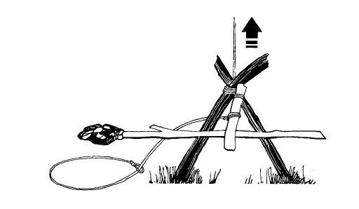 Иллюстрация к книге — Выживание везде и всегда [i_170.jpg]