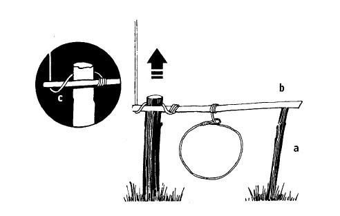 Иллюстрация к книге — Выживание везде и всегда [i_171.jpg]
