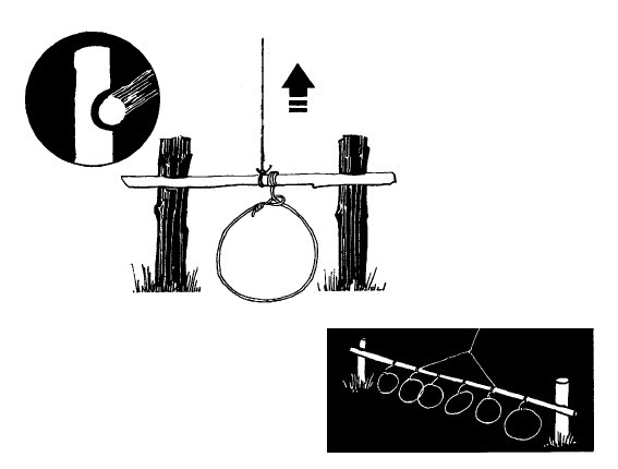 Иллюстрация к книге — Выживание везде и всегда [i_173.jpg]