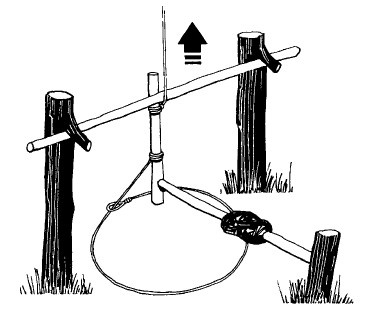 Иллюстрация к книге — Выживание везде и всегда [i_178.jpg]