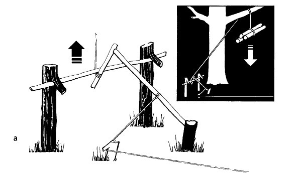 Иллюстрация к книге — Выживание везде и всегда [i_179.jpg]