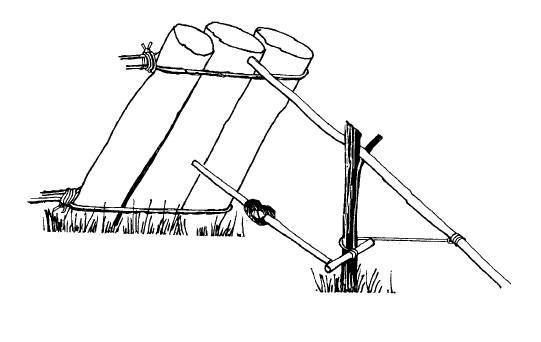 Иллюстрация к книге — Выживание везде и всегда [i_182.jpg]