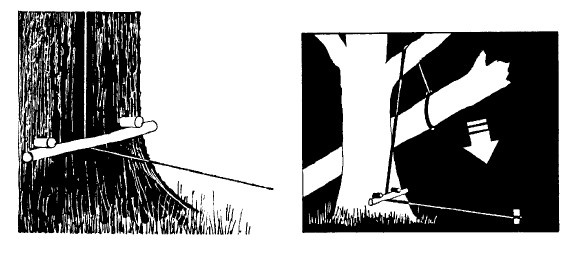 Иллюстрация к книге — Выживание везде и всегда [i_183.jpg]