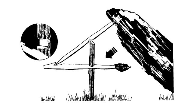 Иллюстрация к книге — Выживание везде и всегда [i_184.jpg]