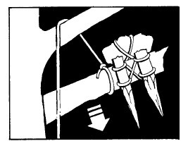 Иллюстрация к книге — Выживание везде и всегда [i_186.jpg]