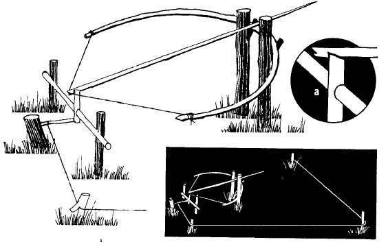 Иллюстрация к книге — Выживание везде и всегда [i_189.jpg]