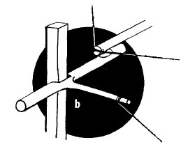 Иллюстрация к книге — Выживание везде и всегда [i_190.jpg]