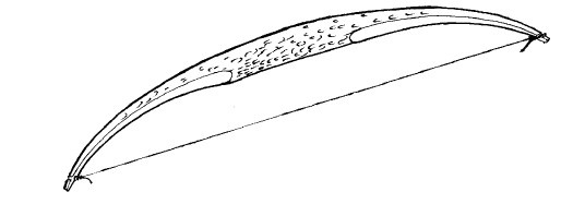 Иллюстрация к книге — Выживание везде и всегда [i_197.jpg]