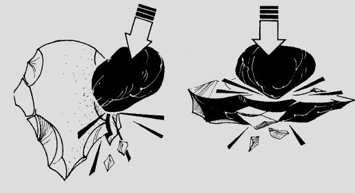 Иллюстрация к книге — Выживание везде и всегда [i_202.jpg]