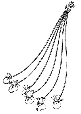 Иллюстрация к книге — Выживание везде и всегда [i_206.jpg]