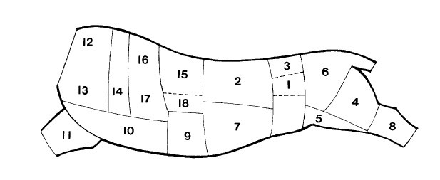 Иллюстрация к книге — Выживание везде и всегда [i_215.jpg]
