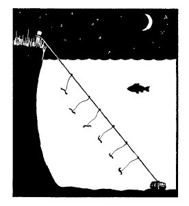 Иллюстрация к книге — Выживание везде и всегда [i_226.jpg]