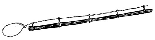 Иллюстрация к книге — Выживание везде и всегда [i_234.jpg]