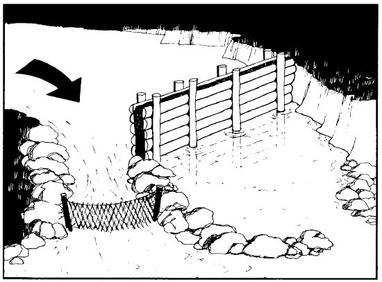 Иллюстрация к книге — Выживание везде и всегда [i_235.jpg]