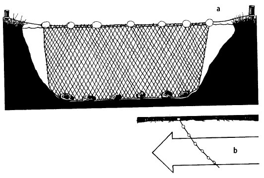 Иллюстрация к книге — Выживание везде и всегда [i_236.jpg]