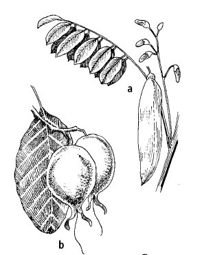 Иллюстрация к книге — Выживание везде и всегда [i_237.jpg]