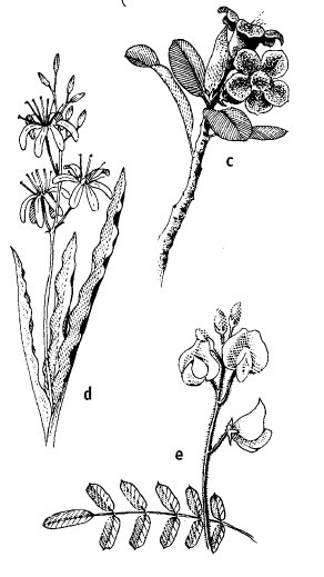 Иллюстрация к книге — Выживание везде и всегда [i_238.jpg]