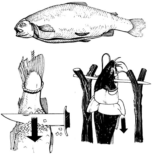 Иллюстрация к книге — Выживание везде и всегда [i_241.jpg]