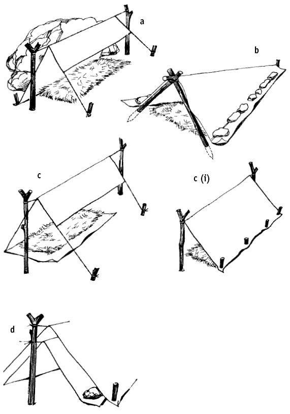 Иллюстрация к книге — Выживание везде и всегда [i_248.jpg]