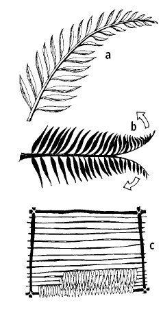 Иллюстрация к книге — Выживание везде и всегда [i_256.jpg]