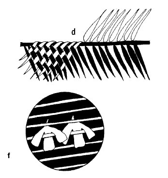 Иллюстрация к книге — Выживание везде и всегда [i_257.jpg]