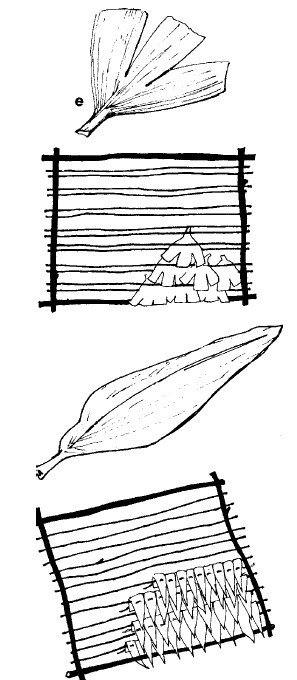 Иллюстрация к книге — Выживание везде и всегда [i_258.jpg]